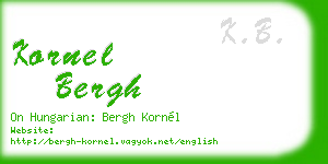 kornel bergh business card